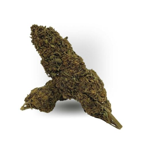 Fleur de CBD 8% - Gelato