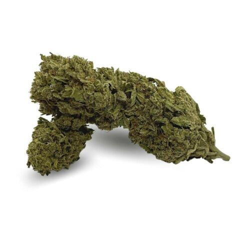 Fleur de CBD 8% - Mango Kush