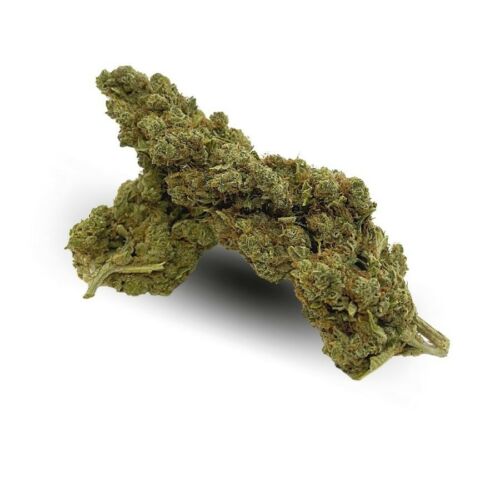 Fleur de CBD 5% - Amnésia