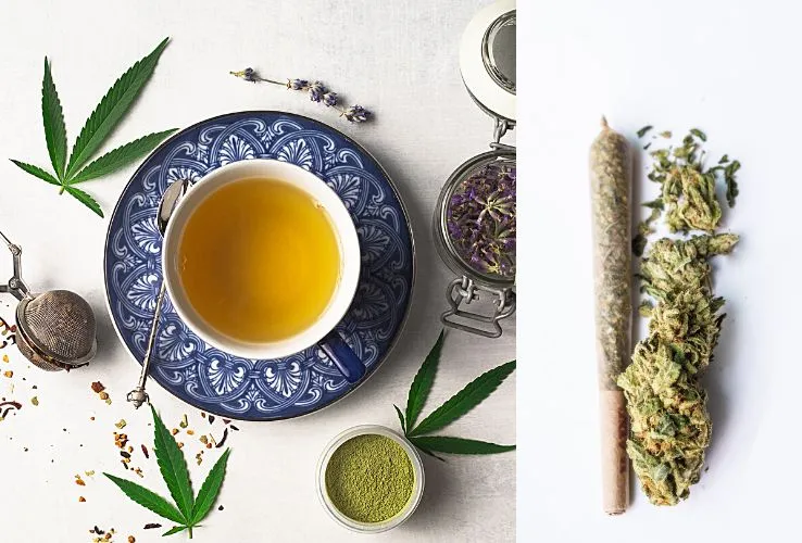 cbd-infusion-home Découvrez nos sticks prêts-à-infuser !