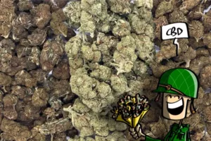 Fleur CBD - Produits CBD